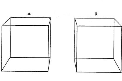 Sterographic Pair by Sir Charles Wheatstone