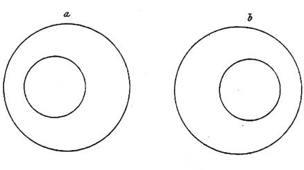 Sterographic Pair by Sir Charles Wheatstone